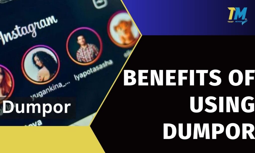 Benefits of Using Dumpor