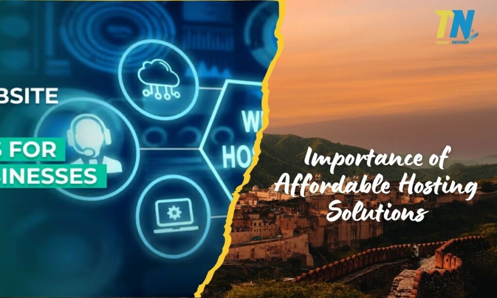 Importance of Affordable Hosting Solutions