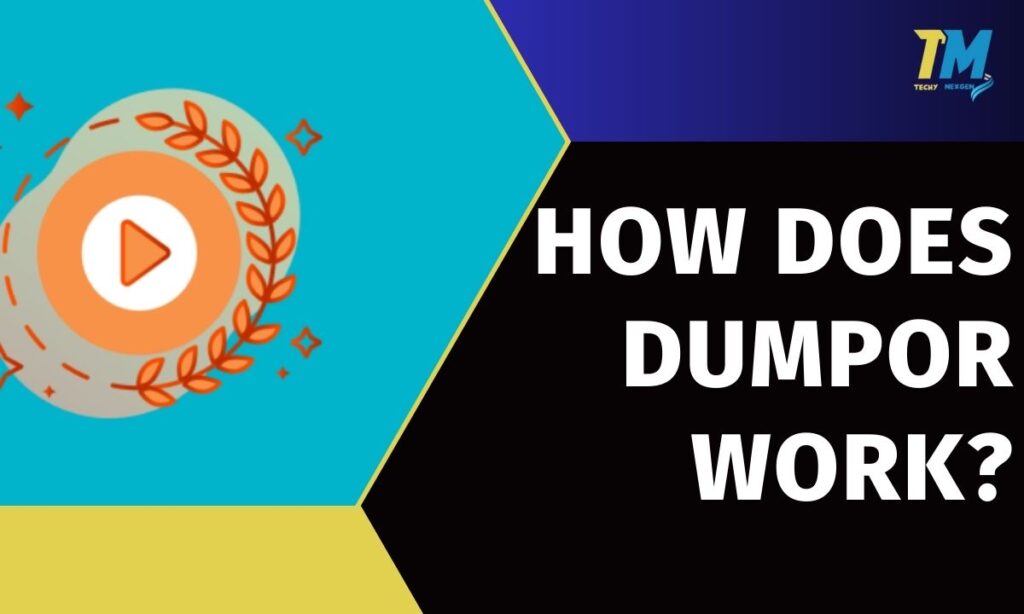 How Does Dumpor Work?