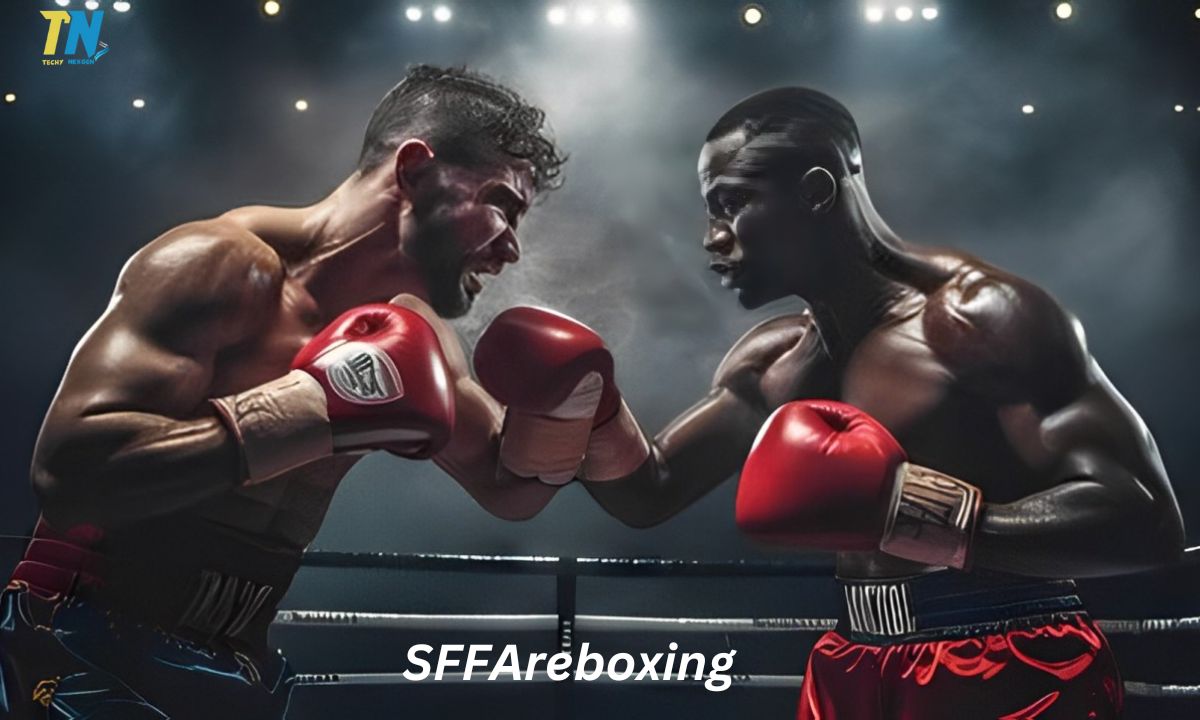 SFFAreboxing Fixtures from SportsFanfare An Overview